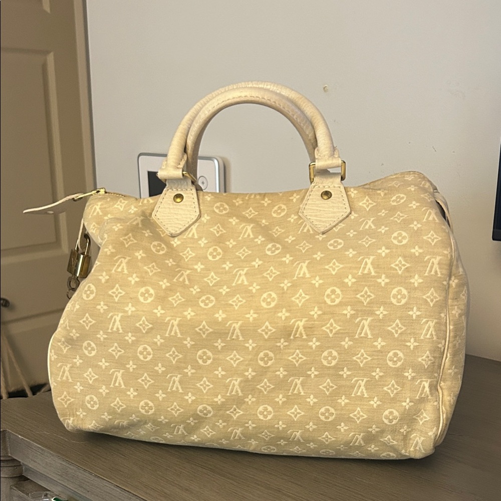 Louis Vuitton Speedy 30 Cloth